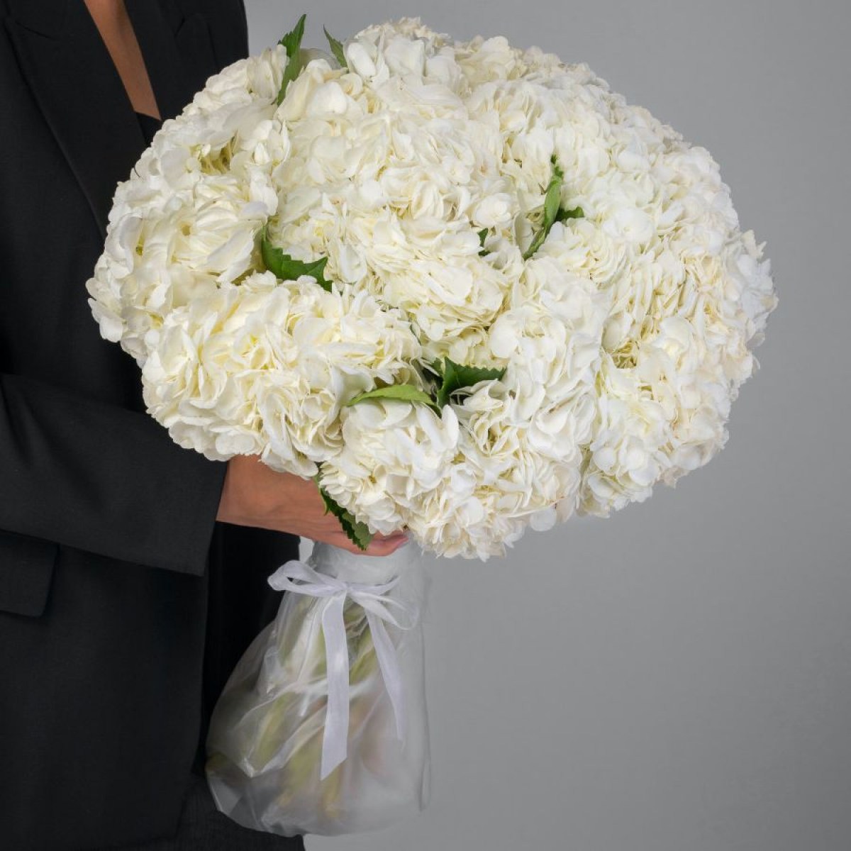 25 белых гортензий