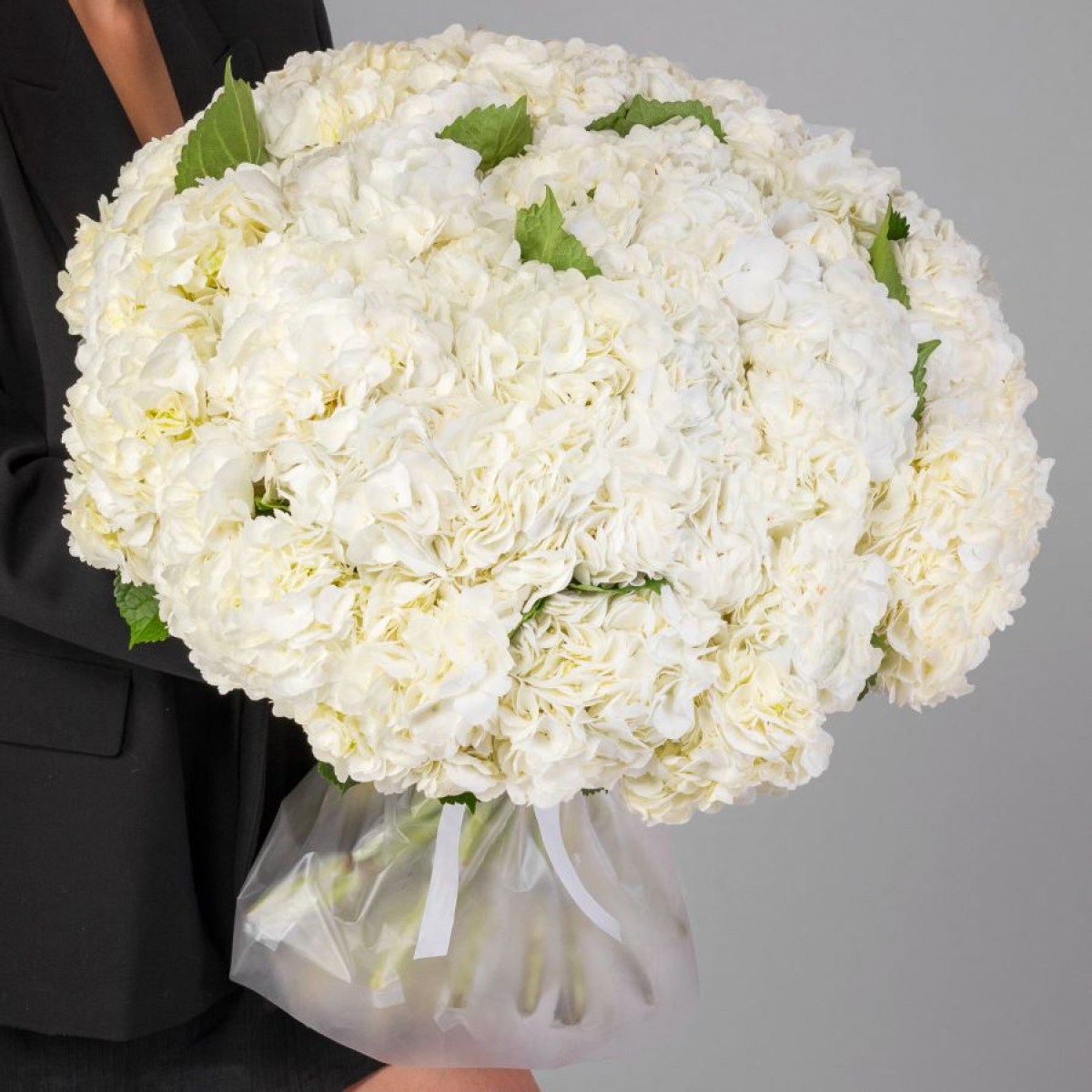 35 белых гортензий