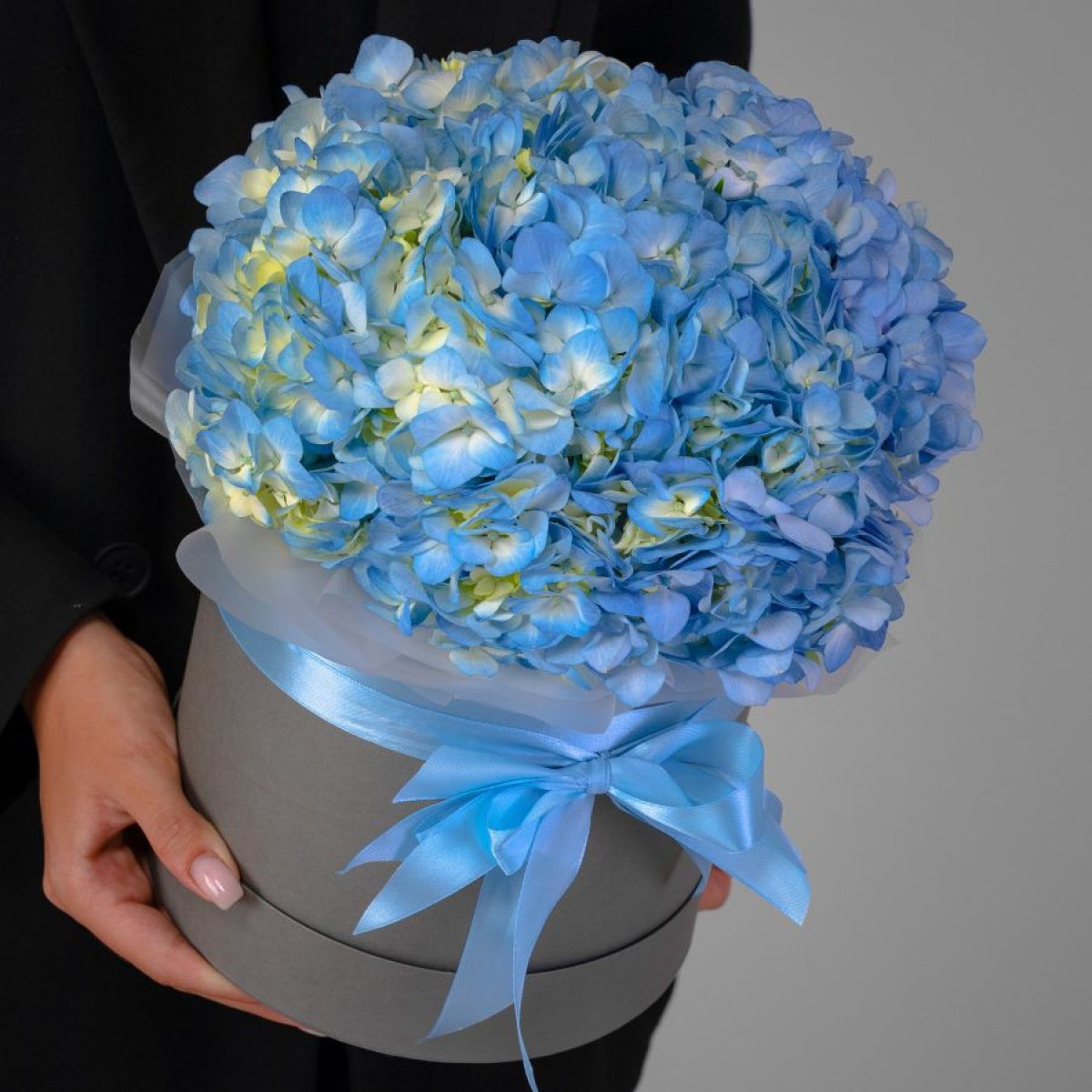 5 голубых гортензий в коробке