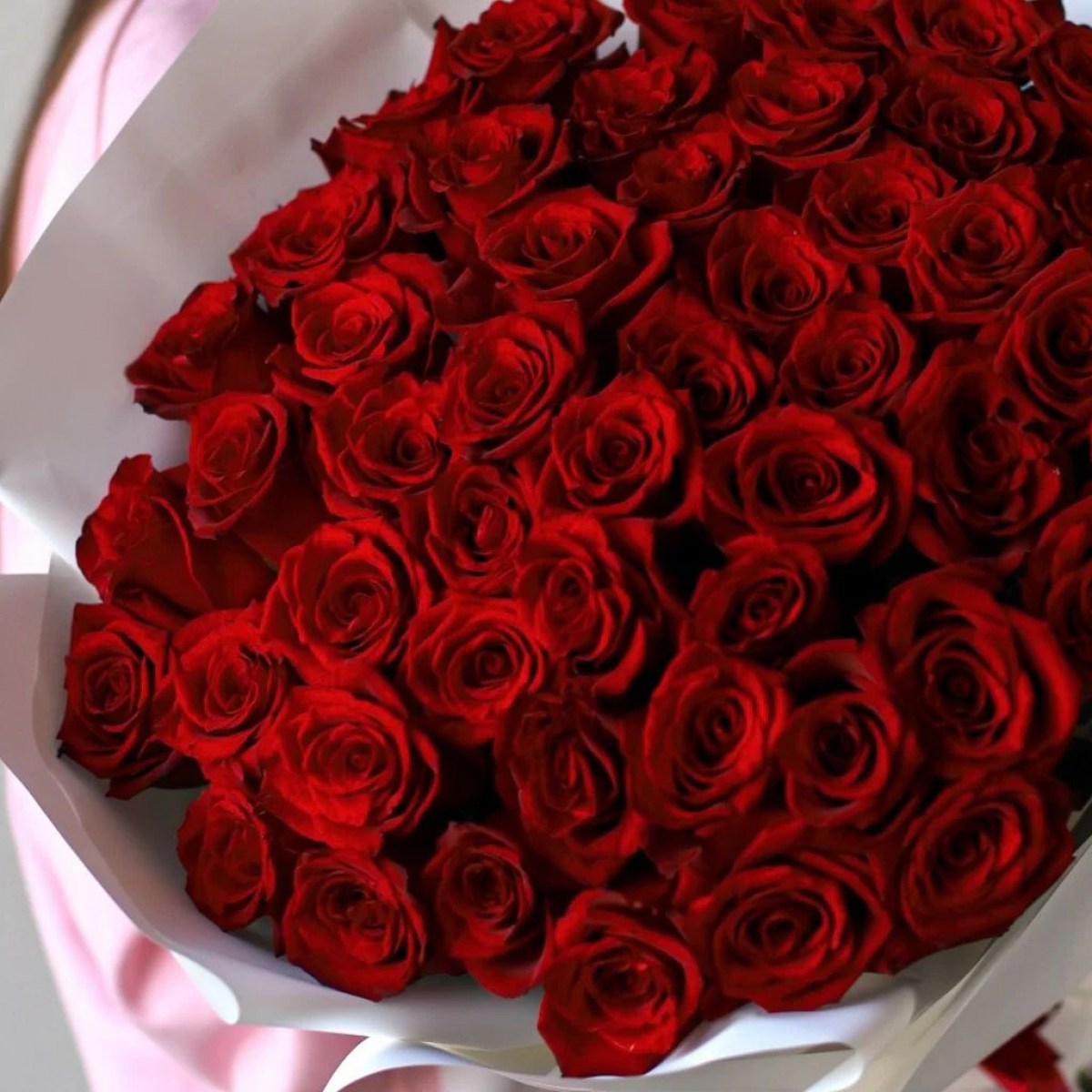 rozy-belye-v-oformlenii-51-sht2-1